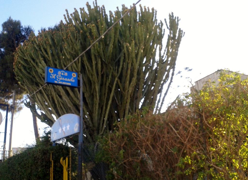 B&B Il Girasole Noto Dış mekan fotoğraf