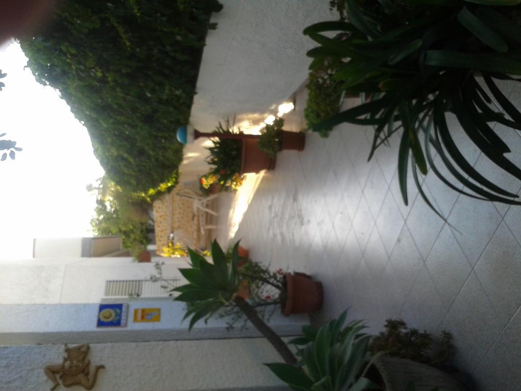 B&B Il Girasole Noto Dış mekan fotoğraf