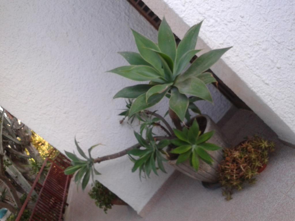 B&B Il Girasole Noto Dış mekan fotoğraf