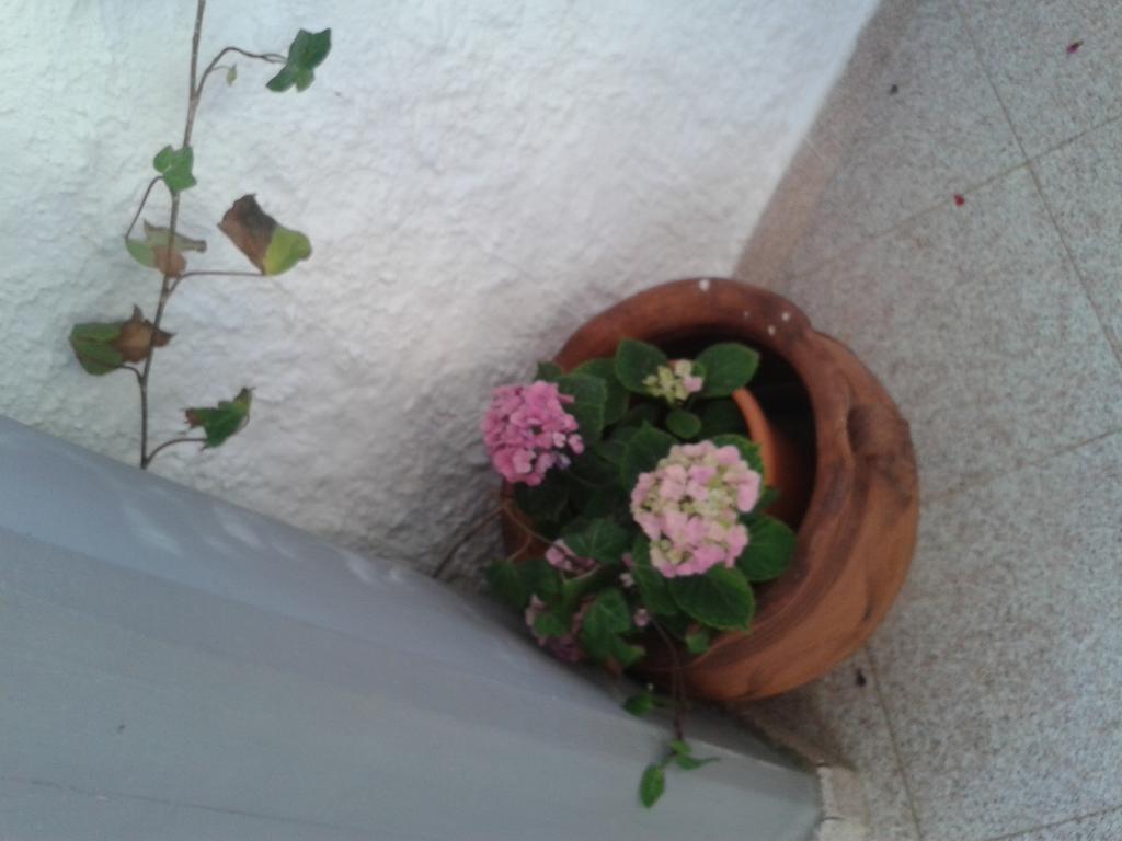 B&B Il Girasole Noto Dış mekan fotoğraf