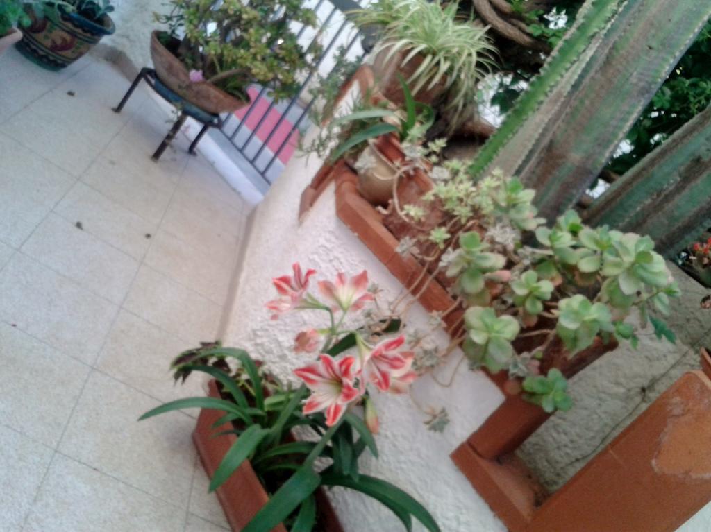 B&B Il Girasole Noto Dış mekan fotoğraf